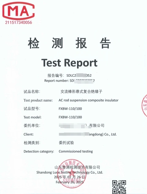 Test Report 1